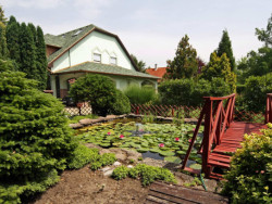 Apartmány Rajna Bogács
