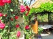 Apartmány Judit 19