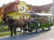 Apartmány Magdaléna 1