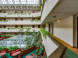 Ensana Thermal Sárvár Health Spa Hotel 4