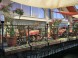 Hotel Orchidea 22