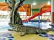 Hunguest Hotel Aqua-Sol 49
