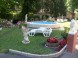 Penzion Balaton 7