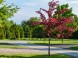  Thermal Park Egerszalók****, Egerszalók 5