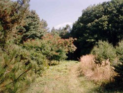 Arborétum Tata - Agostyán Tata
