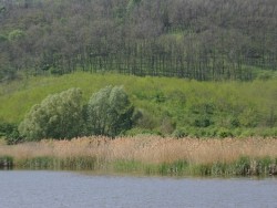 Přírodní pokladna - Tamási Tamási