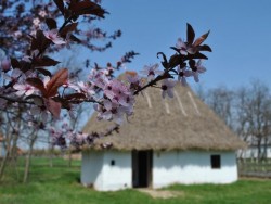 Skanzen Sóstó Nyíregyháza