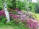 Arboretum, Budafa 3