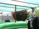 Dino park Rezi 8