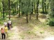 Eko-Dobrodružný Park Gyenesdiás 1