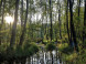 Naučná stezka Fényes Tata 10