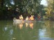 Požičovňa člnov a kanoe Malý Dunaj 4