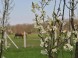 Skanzen Sóstó 17