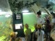 Tropicarium Oceanárium - Budapest 4