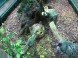 Tropicarium Oceanárium - Budapest 9