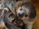 Veszprém - Zoologická záhrada Kálmána Kittenbergera 5