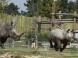 Veszprém - Zoologická záhrada Kálmána Kittenbergera 7
