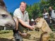 Veszprém - Zoologická záhrada Kálmána Kittenbergera 9