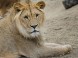 Veszprém - Zoologická záhrada Kálmána Kittenbergera 21
