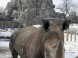 ZOO Budapešť 15