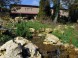 ZOO Budapešť 17