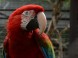 ZOO Debrecen 9