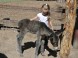 ZOO Debrecen 12
