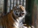 ZOO Debrecen 14