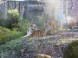 ZOO Debrecen 15