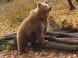 ZOO Miskolc 13