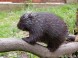 ZOO Miskolc 15