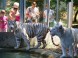 ZOO Nyíregyháza 7
