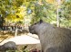 ZOO Nyíregyháza 9