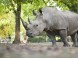 ZOO Nyíregyháza 13