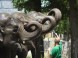 ZOO Nyíregyháza 18