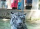 ZOO Nyíregyháza 5