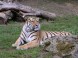 ZOO Debrecen 3
