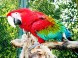 Zoologická a botanická zahrada - Jászberény