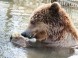 Zoologická a botanická zahrada - Jászberény 3