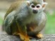 ZOO Miskolc 2