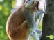 ZOO Miskolc 8