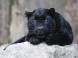 ZOO Miskolc
