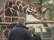 Zoologická zahrada Xantus János - Győr 5