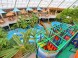 Aquaticum-Mediteránní zážitkové lázně Debrecen 17
