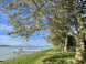 Balatonboglár - Plážové koupaliště Jankovich-telepi strand 10