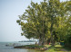 Balatonboglár - Plážové koupaliště Jankovich-telepi strand 11