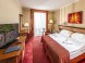 Balneo Hotel Zsori Thermal & Wellness 7