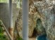 Jeskynní a léčebné lázně Miskolctapolca 18