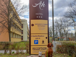 Osvěžení v Bükfürdő 2026 - AKCE 33