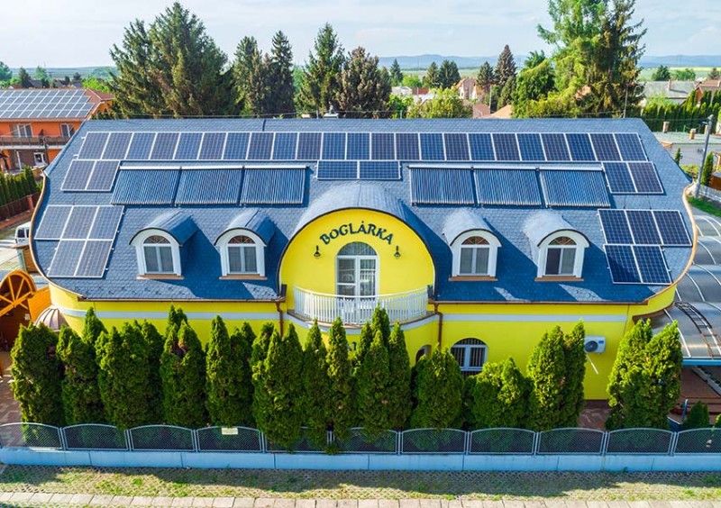 Mimosezóna Boglárka